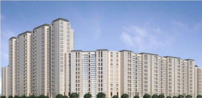 (The Camellias, Gurgaon) (The Camellias, Gurgaon)